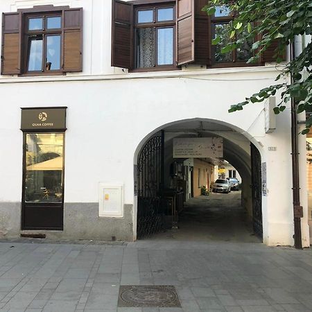 Gizell Apartment 1 Sibiu Eksteriør billede