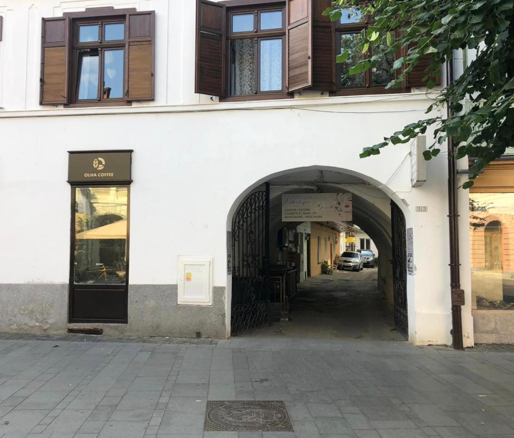 Gizell Apartment 1 Sibiu Eksteriør billede